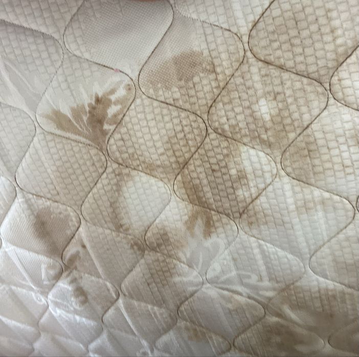 Cama Dossel Corpo e Meio