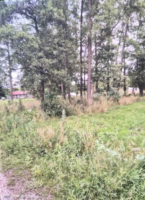 Zdjęcie 4