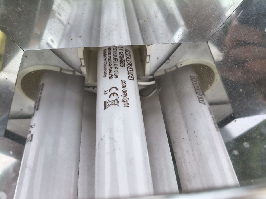 Lampy typu raster