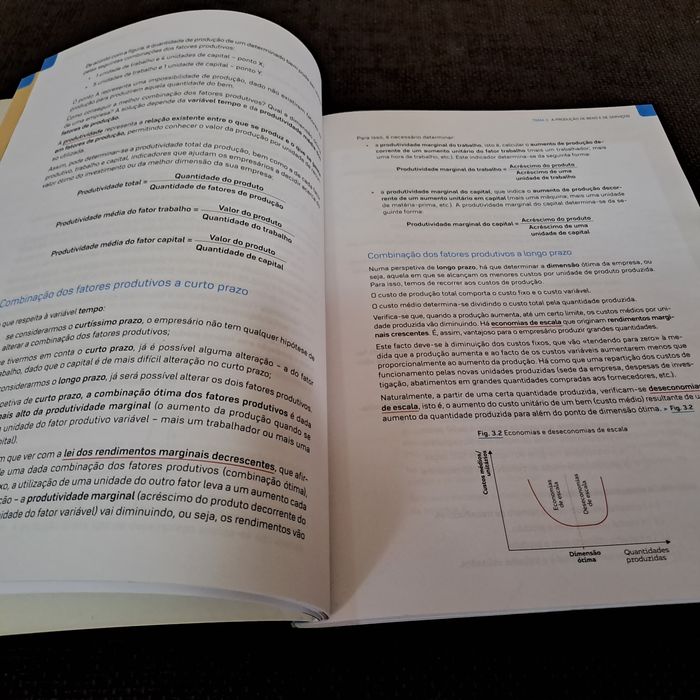 Economia A 10 caderno atividades