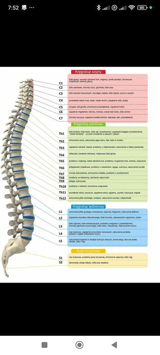 Korekcja kręgosłupa – zdrowie całego ciała
