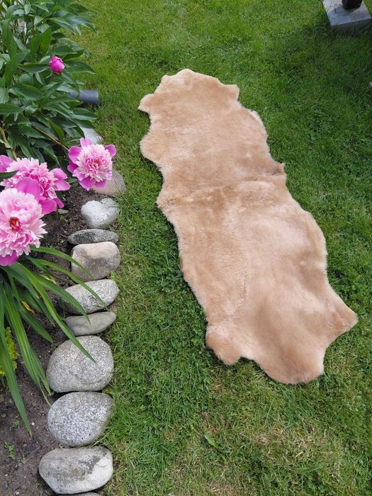 Skóra Owcza Dywan Dywanik Naturalny 3 Kolory Krótki Włos