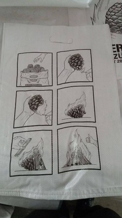 Pinhas de pinheiro bravo