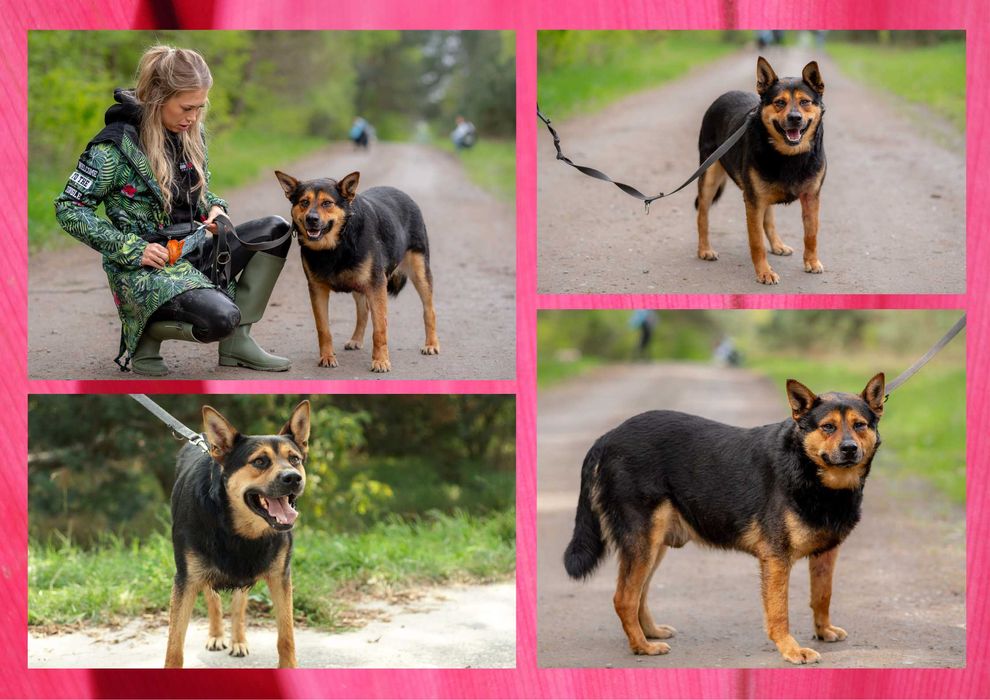 IVAN - marzy o nowym domu i rodzinie