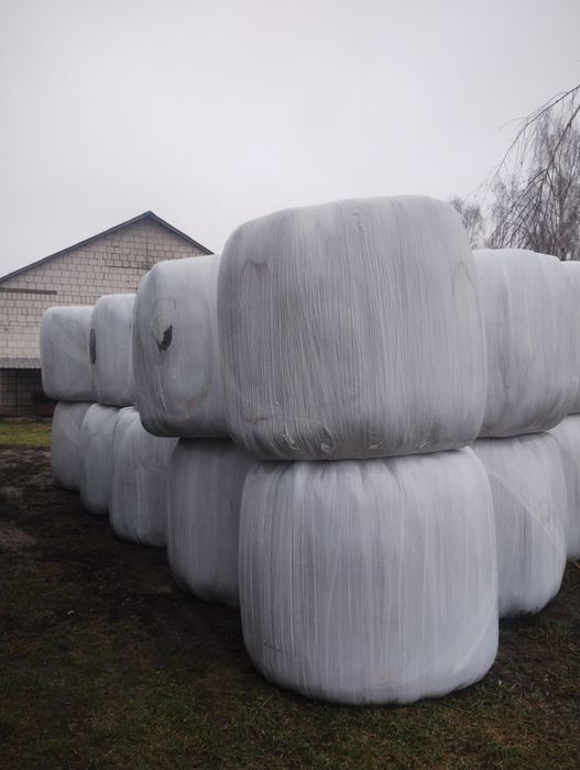 Siano, sianokiszonka, słoma