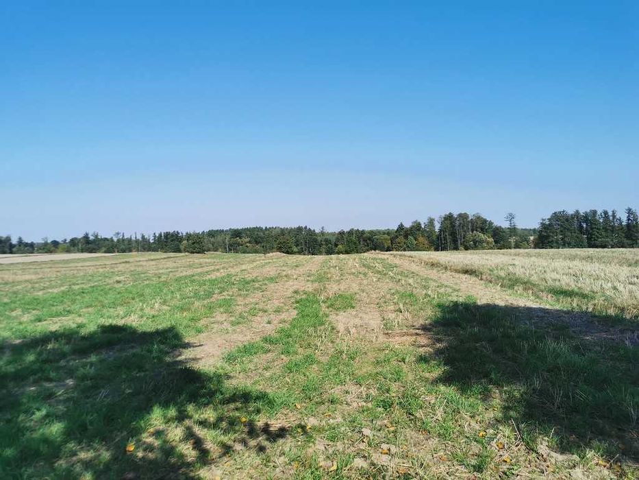 Działka budowlana 1000 m² Warunki zabudowy Droga asfaltowa BEZPOŚREDNIO - Widok 3