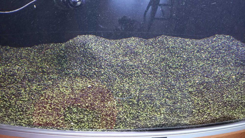 Areia preta sílica para aquário