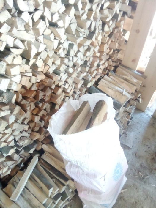 Сухі дрова у мішках бук.