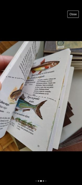 Coleção Cadernos de Campo