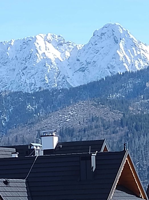 Apartament Pistacjowy z widokiem na Giewont