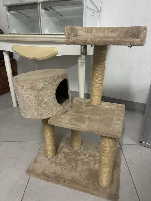 Arranhador Gato bom estado