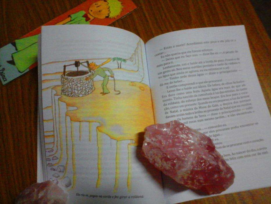 O PRINCIPEZINHO + Marcador Página/OFerta - Leitura recomendada 6º an