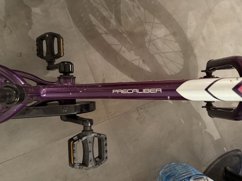 Rower dziecięcy TREK PRECALIBER, HOL TRAILANGEL dla dziewczynki