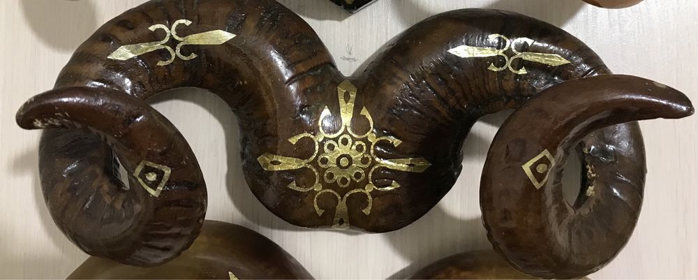 Продам рога різні на вибір