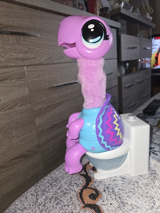 Żółw interaktywny NIE WYSYŁAM PRZEZ OLX