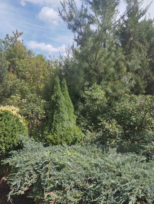 Продам в тихом красивом месте Нововодолажском района  дом  с ставком