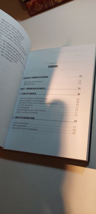A Construção da Rabeca, Idiossincrasias de Mestre Antonio Merengue - João Nicodemos de Araújo Neto