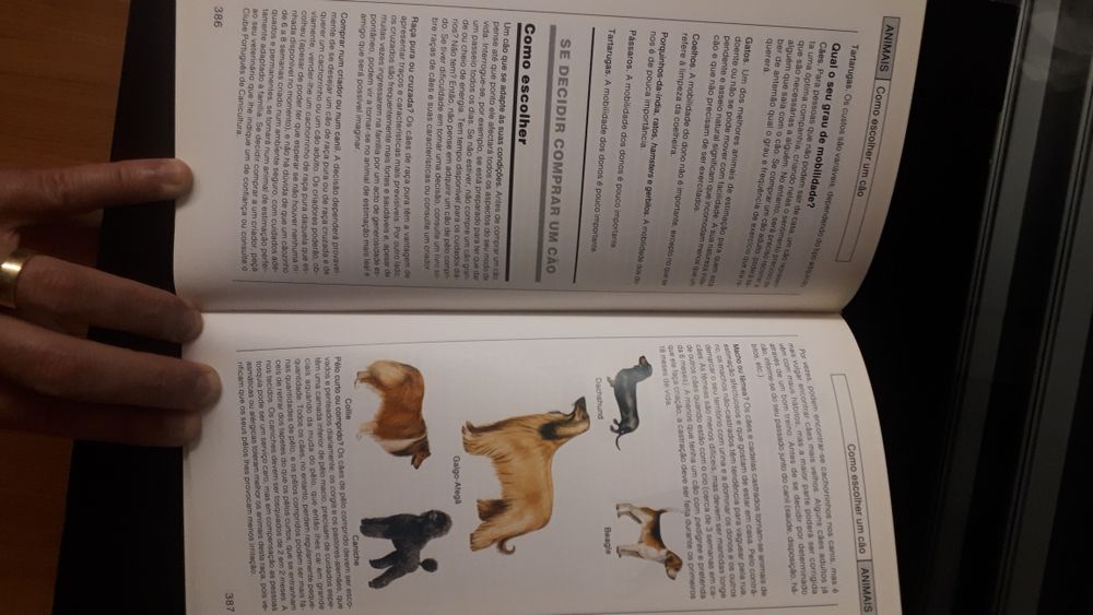 Livro "Ideias práticas & soluções rápidas"