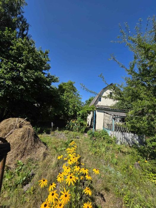 Продаж дачі Нова Українка