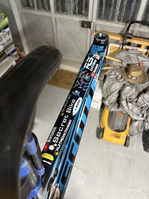 Quadro scott gambler