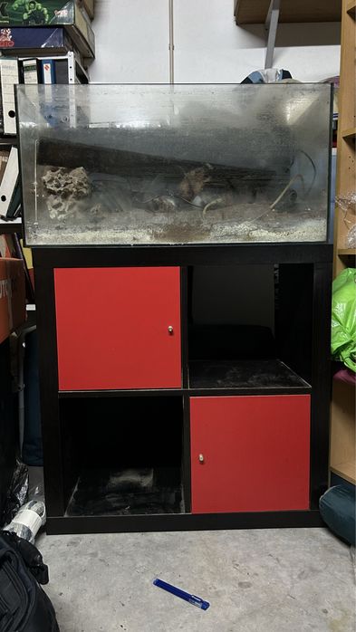 Aquario completo