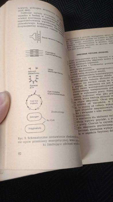 Zmęczenie jako problem współczesnej cywilizacji Zbigniew Jethona