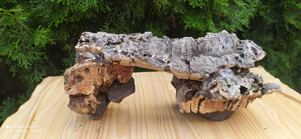 Grota z debu korkowego 28x13 cm.