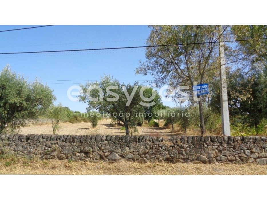 Terreno rustico situado em São Miguel de Acha, Idanha-a-Nova — São Miguel de Acha, Castelo Branco