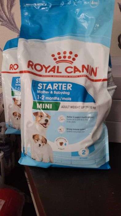 Royal Canin Mini Starter Mother & Babydog 4kg karma na wagę + gratis
