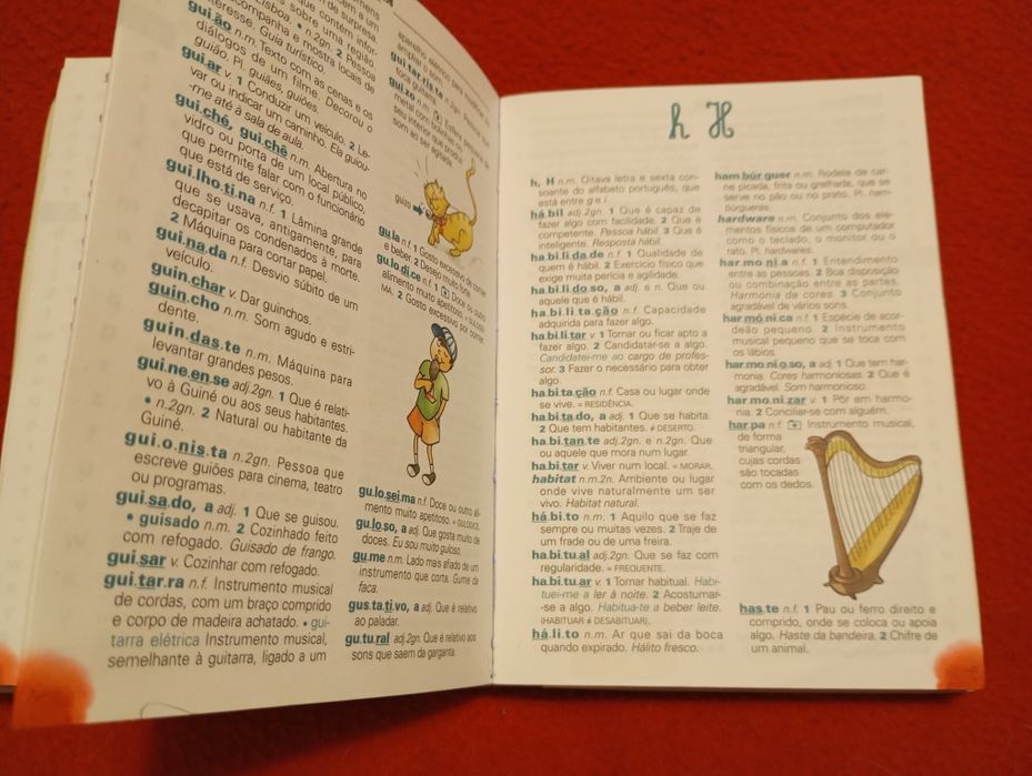 Primeiro dicionário escolar