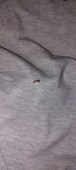 Zestaw siedmiu tshirtów M/L