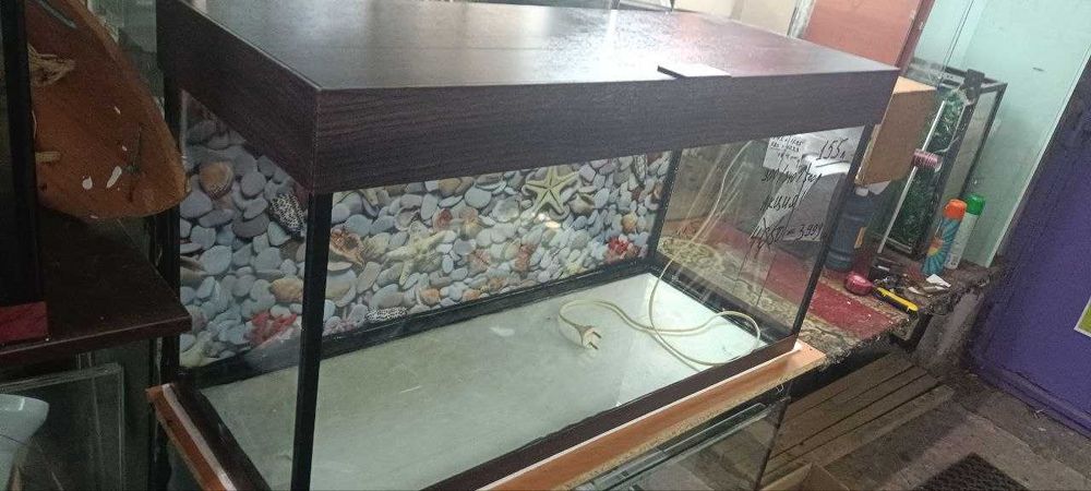 Аквариумы из стекла