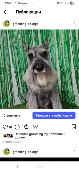 Стрипінг професійно