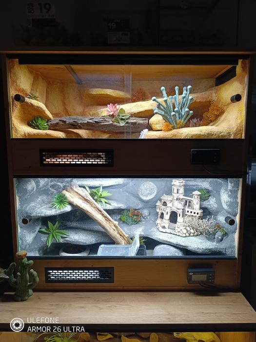 Terrarium pietrowe 2w1 pustynne kompletne