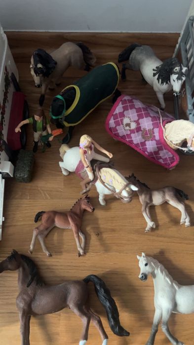 Koniki schleich zestaw