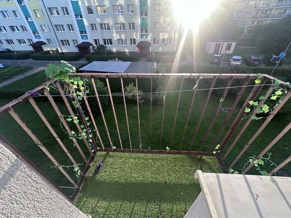 Zdjęcie 8