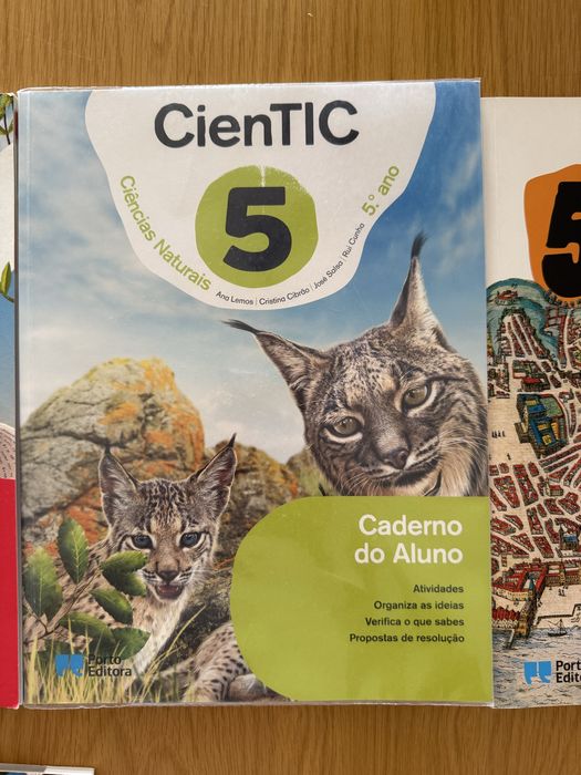 Livro fichas 5.º e 6.º ano