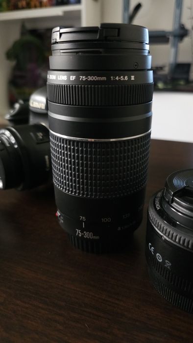 Canon 6d com 3 objetivas + acessórios