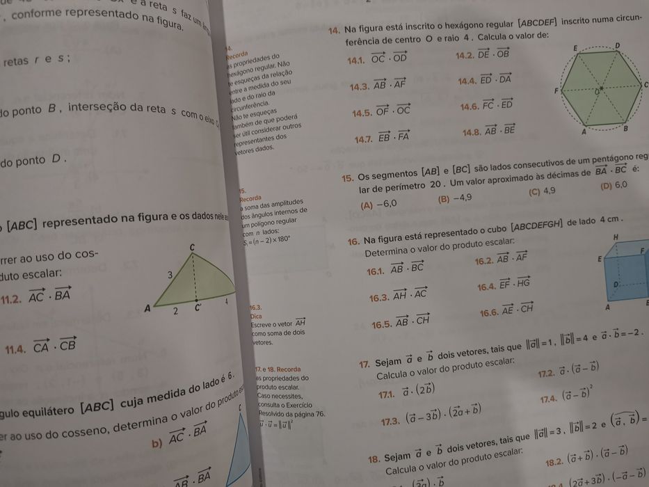 Livro como novo "Guia de estudos matemática A 11°ano"