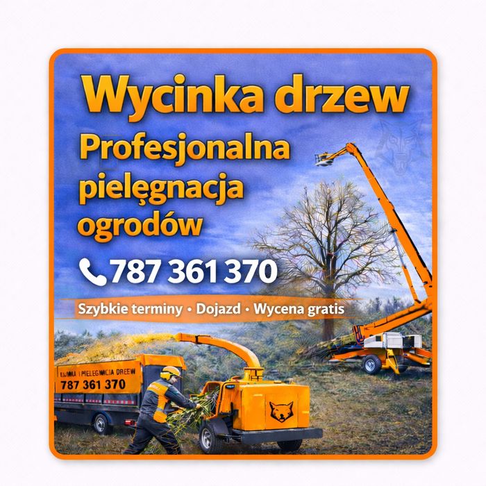 Wycinka drzew Wieluń przycinka pielegnacja ogrodów zwyżka rębak