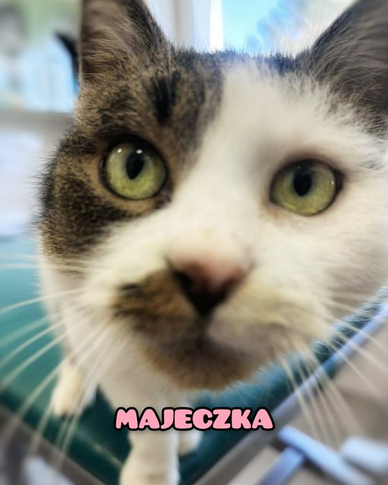Słodka Majeczka szuka miłości :)