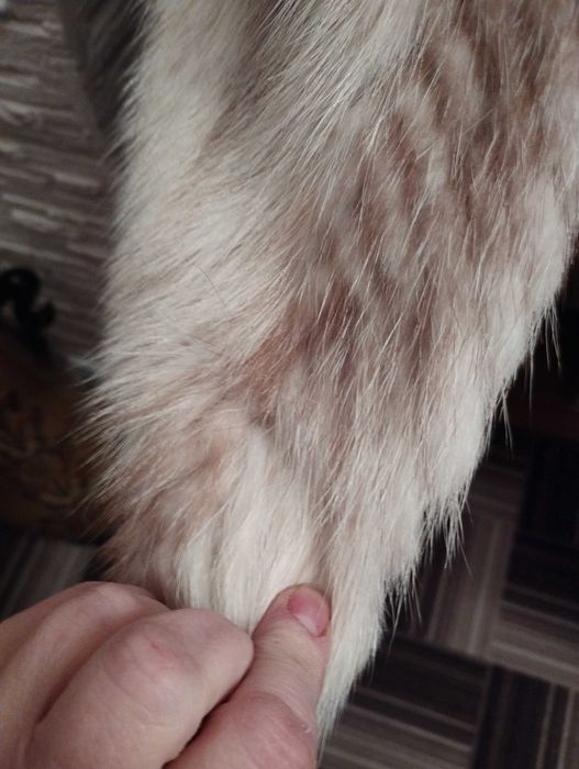 Полушубок натуральные хутро, накл. платіж розмір 52-54, нова,3800 грн