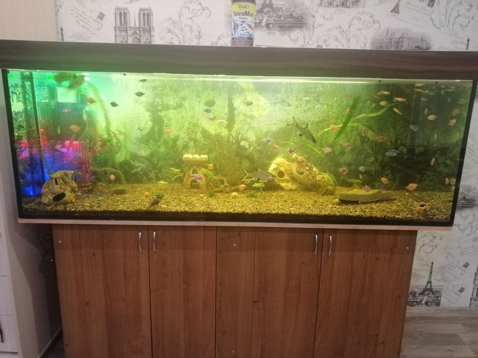 Продам великий акваріум 700 л, з тумбою та обладнанням