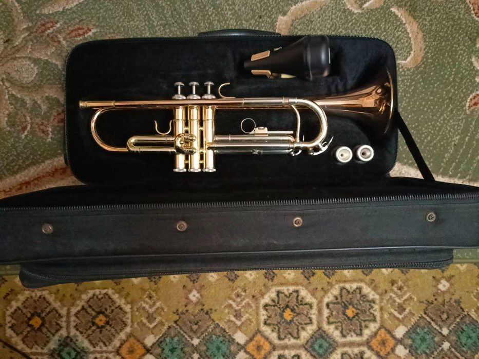 Труба Roy Benson