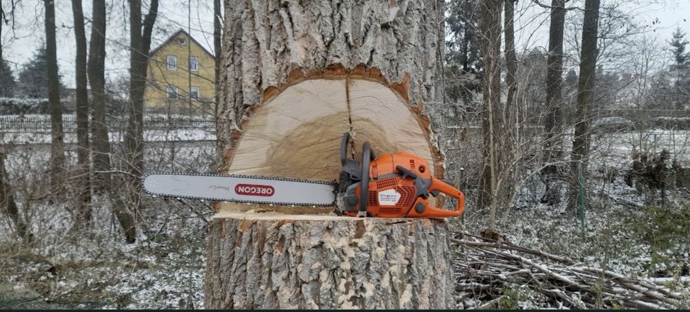 Wycinka drzew /Rębak /Frezwoanie Pni