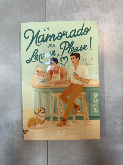 Livro “Um namorado para Levar”