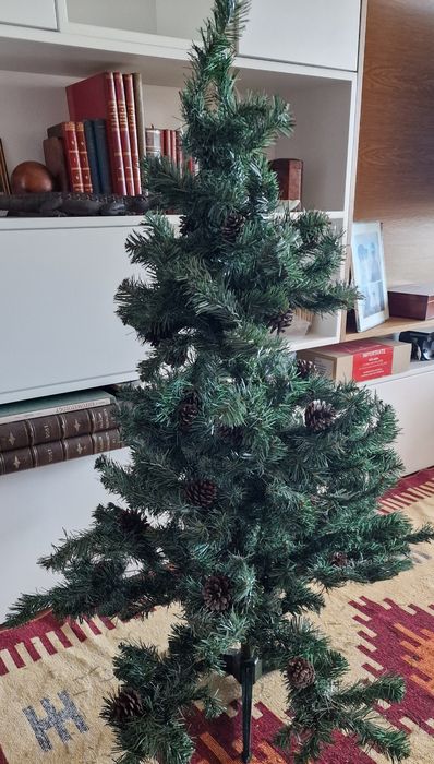 Pinheiro de natal novo.