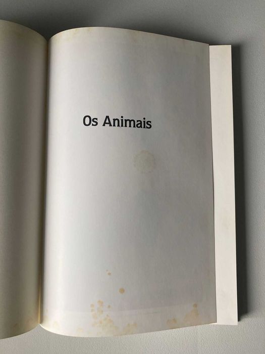 Os Animais: a maravilha da adaptação