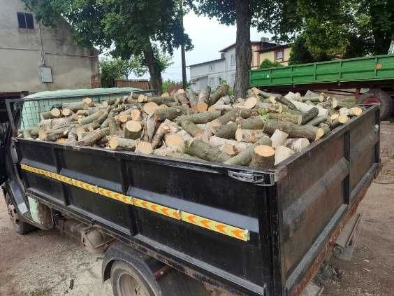 Drewno opałowe buk, dąb