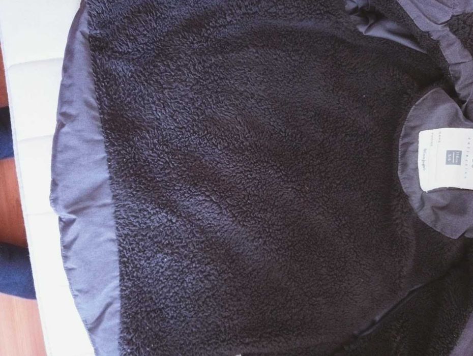 Kispos rapaz em excelente estado